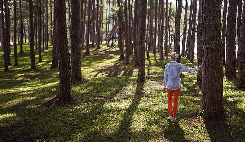 Forest Bathing