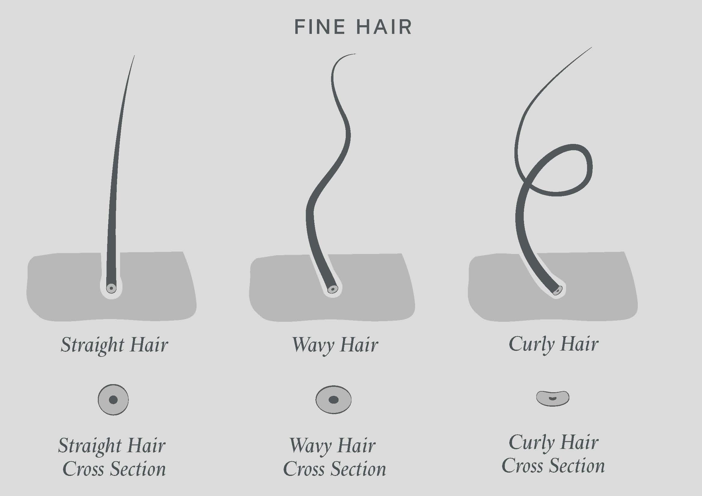 coarse hair meaning