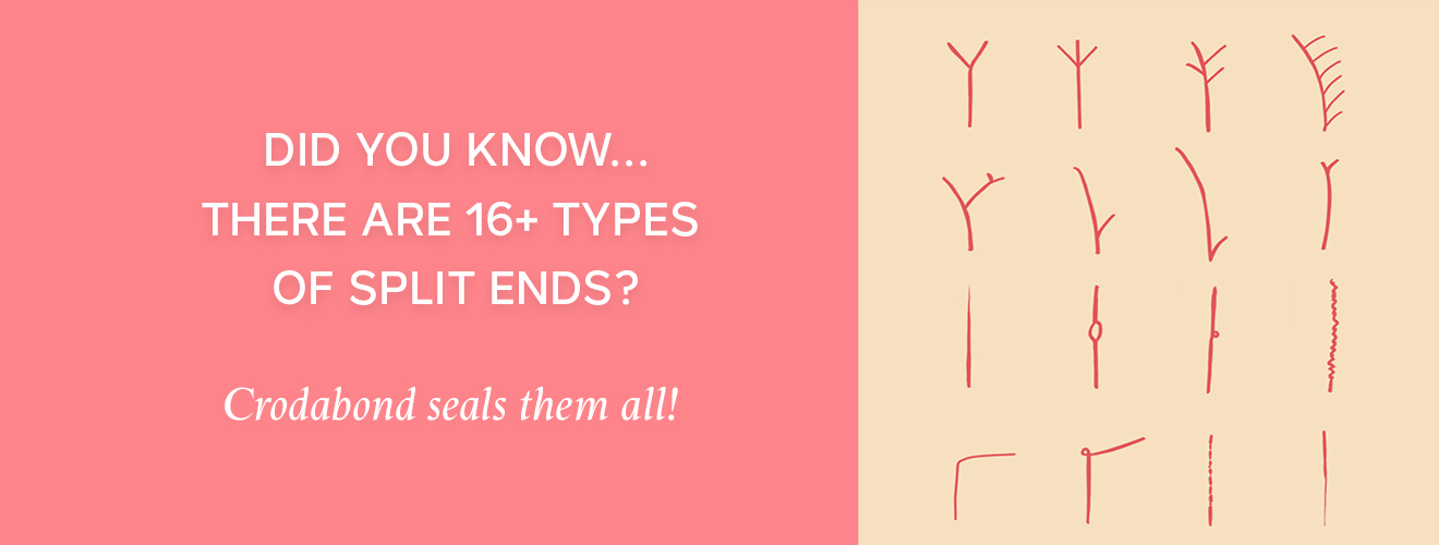 Different Types of Split Ends and What They Mean